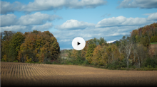 new york farm field
