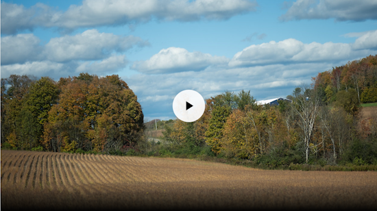 new york farm field